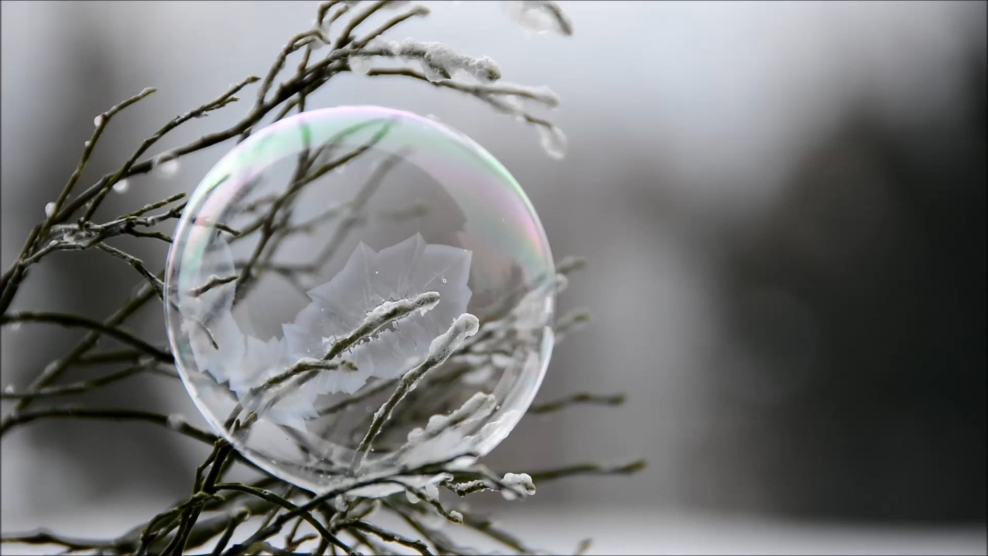 Ice Bubble 2