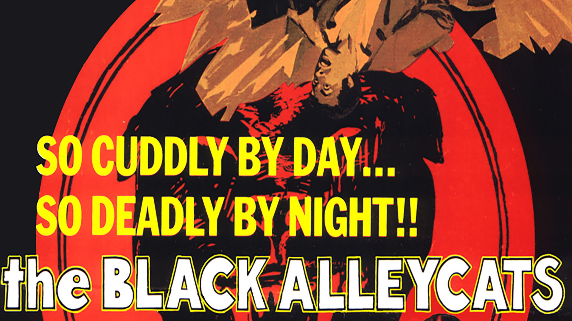 The Black Alley Cats