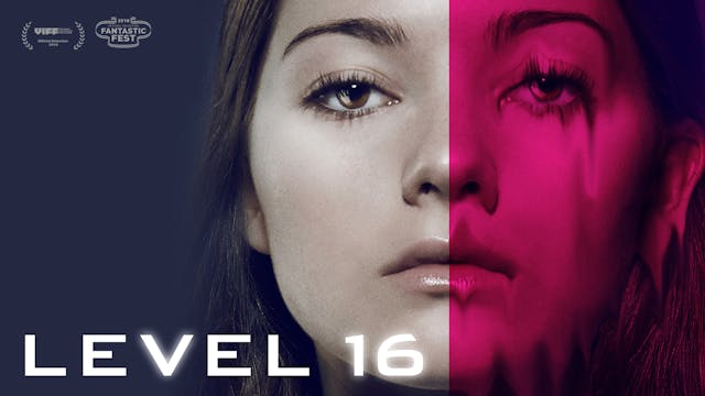 Level 16
