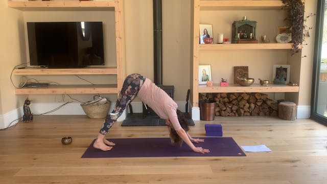 LEVEL 2 - VINYASA FLOW