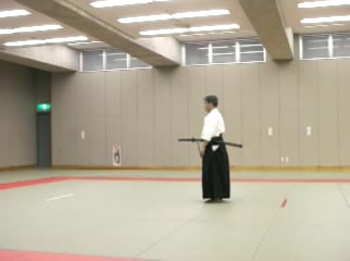 Toho # 11 Sanpogiri (GH sankyo)