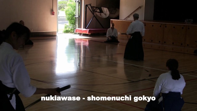 nukiawase (shomenuchi gokyo) toho #13