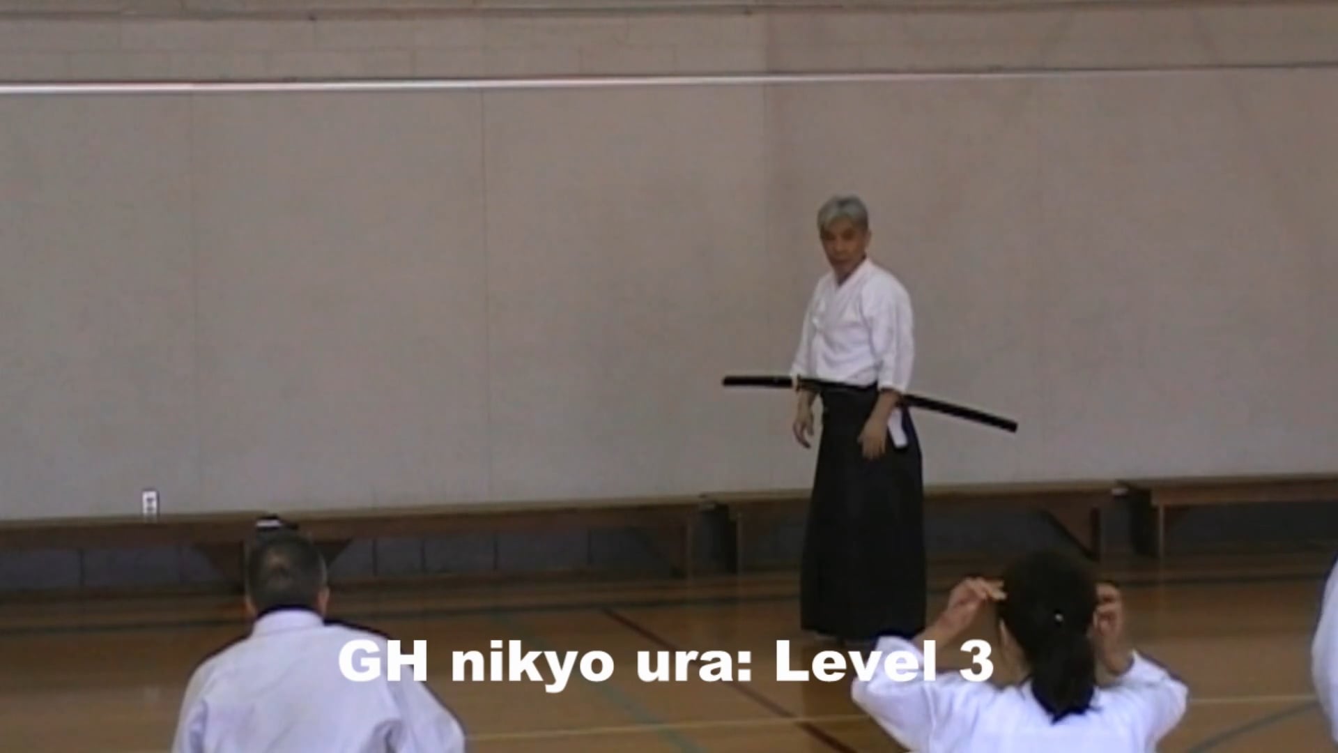 GH nikyo ura toho-L3
