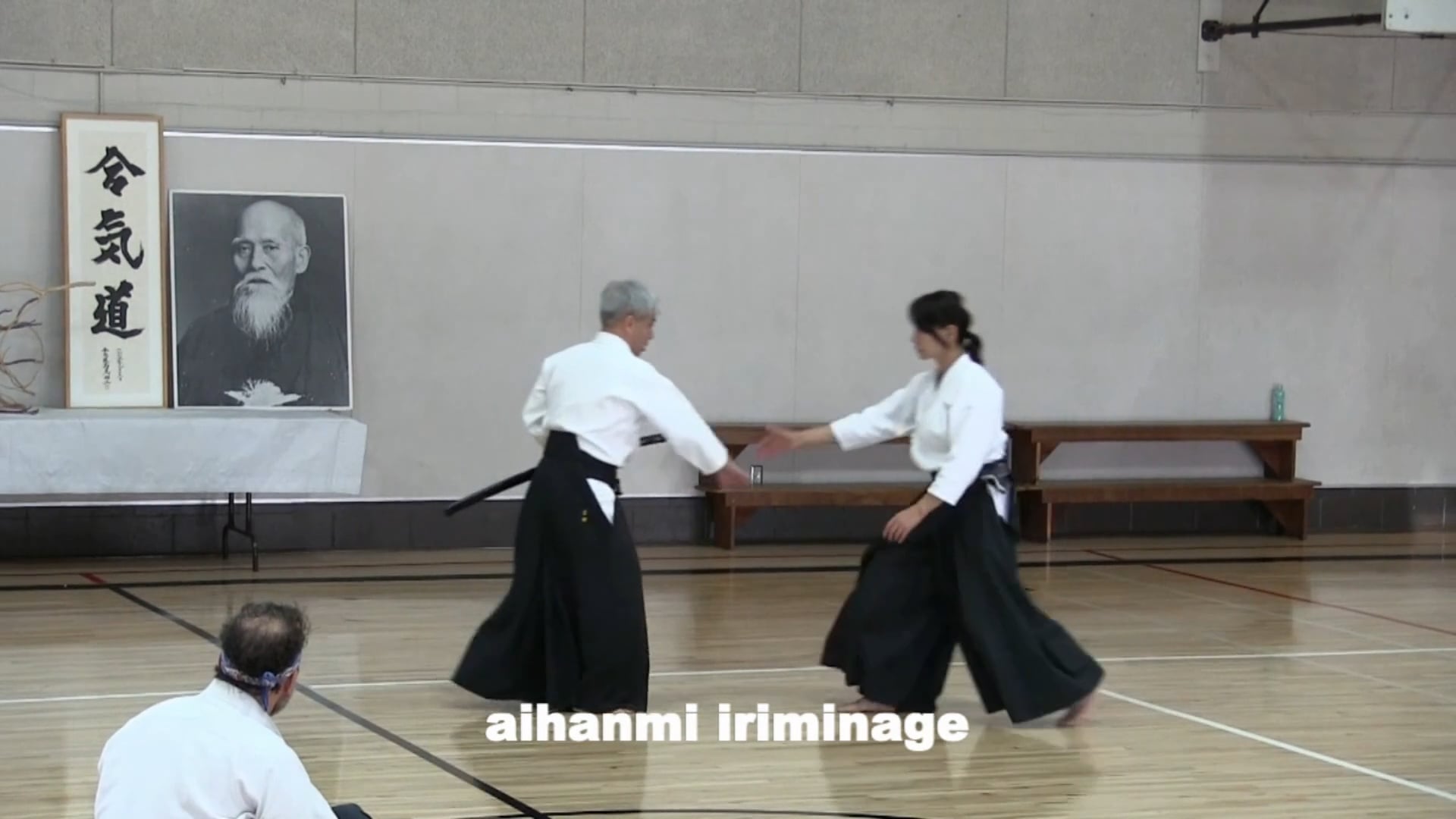 AH iriminage toho-L1