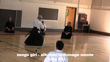 Nishikaze Aikido Society Video