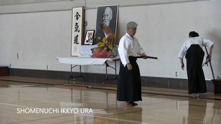 Nishikaze Aikido Society Video