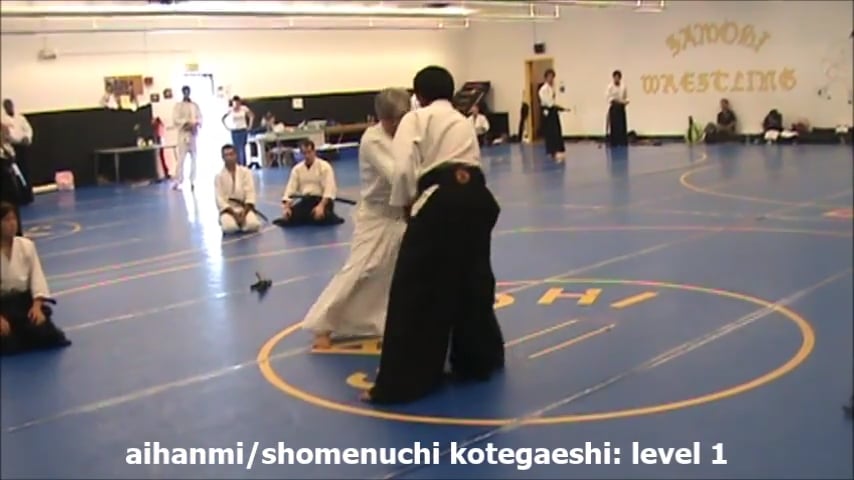 AH/shomenuchi kotegaeshi L1