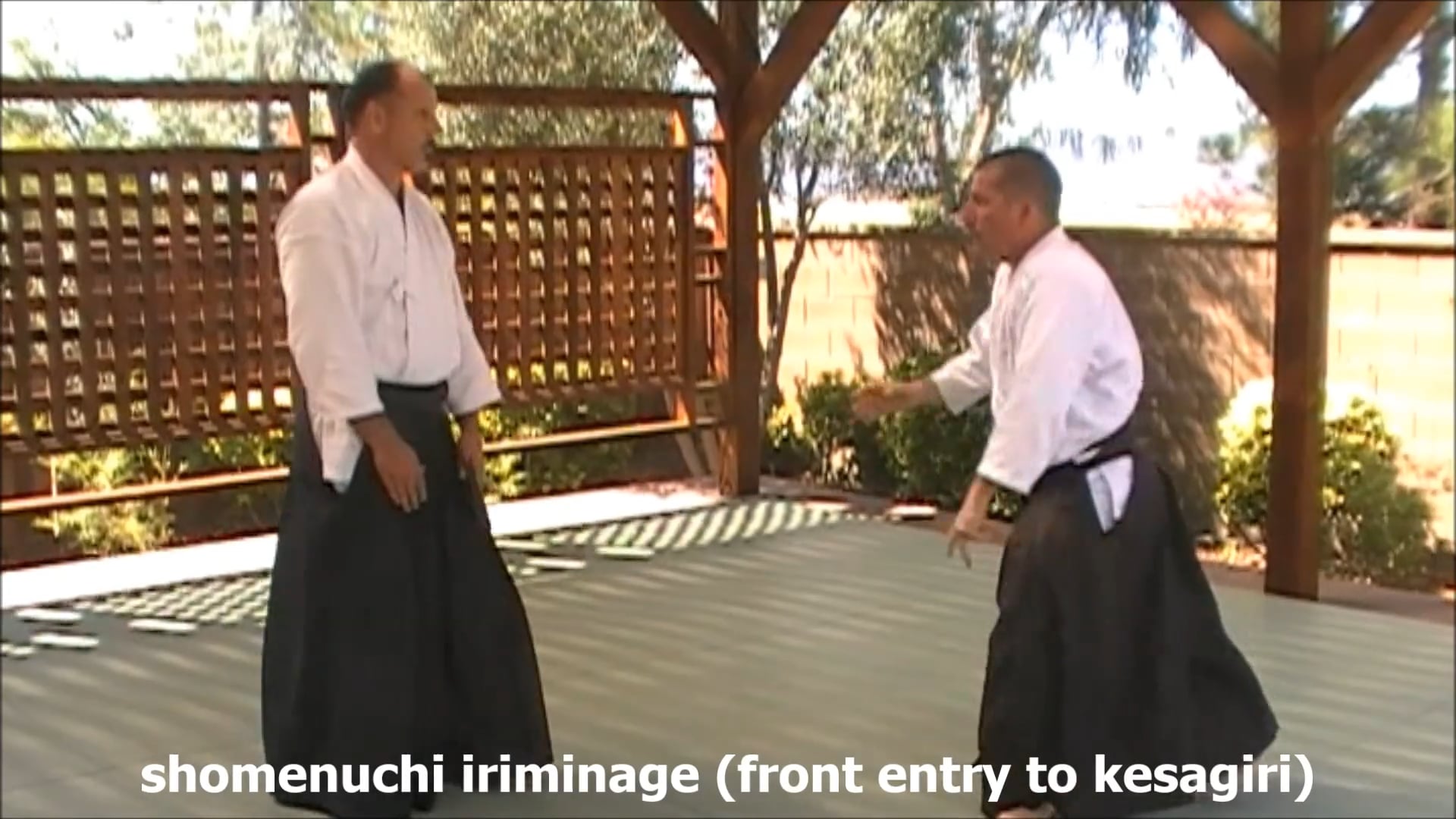 shomenuchi iriminage