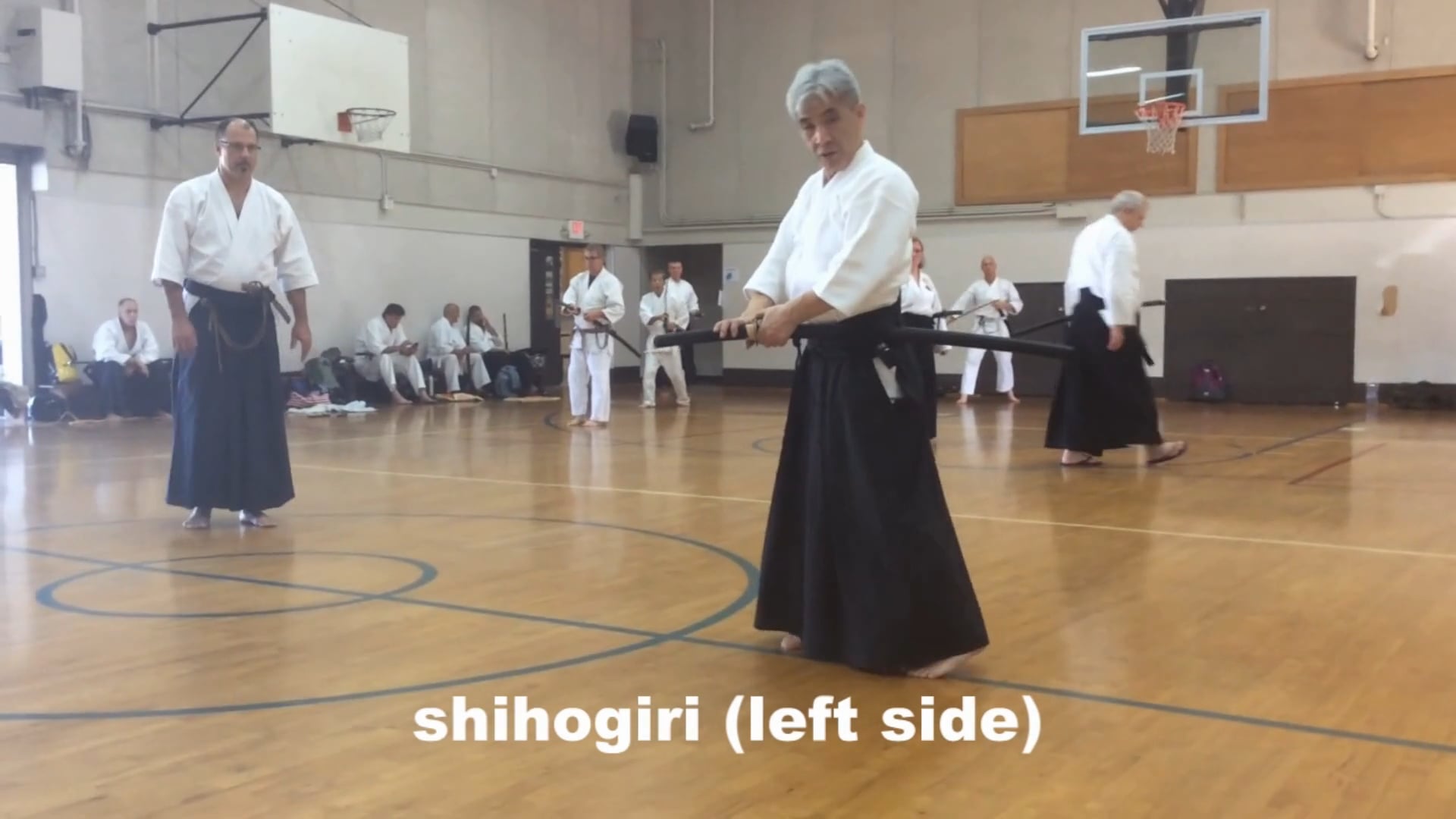 shihogiri (shomenuchi shihonage) toho #12