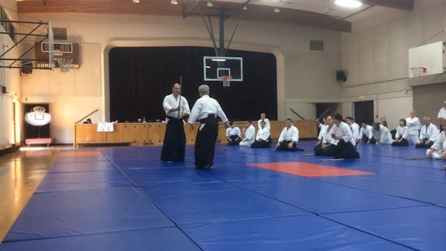 Yoshida 2016 Aikido 2