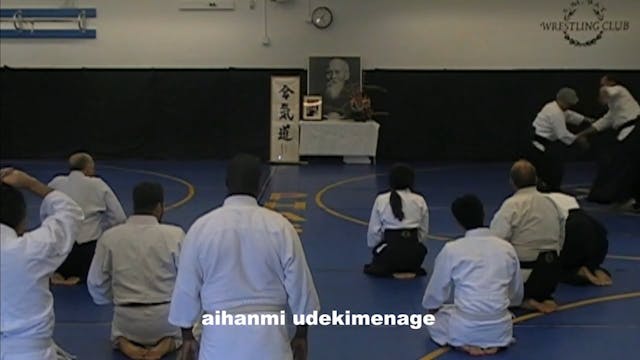 Yoshida 2014 Aikido 2