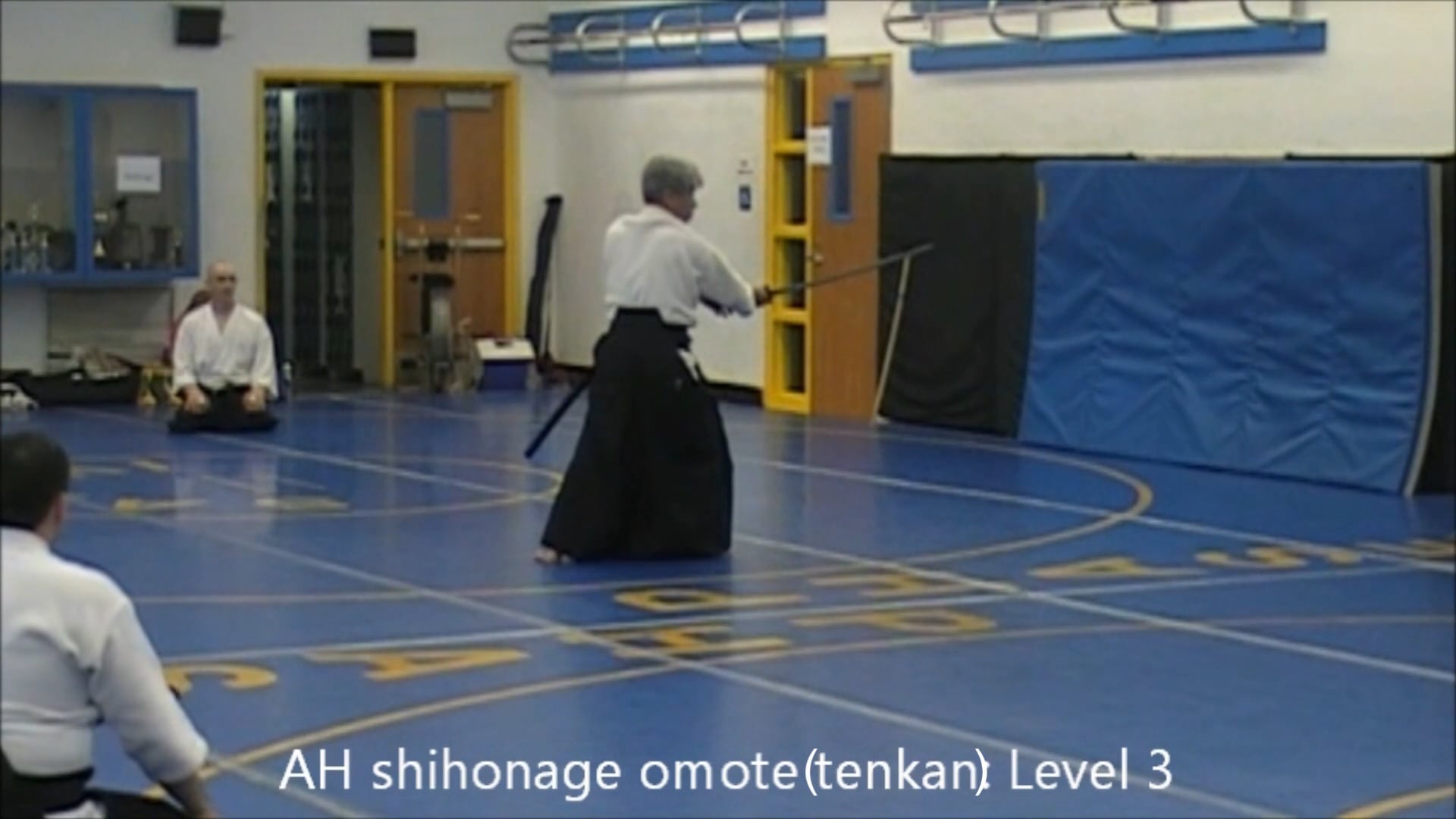 AH shihonage omote toho-L3