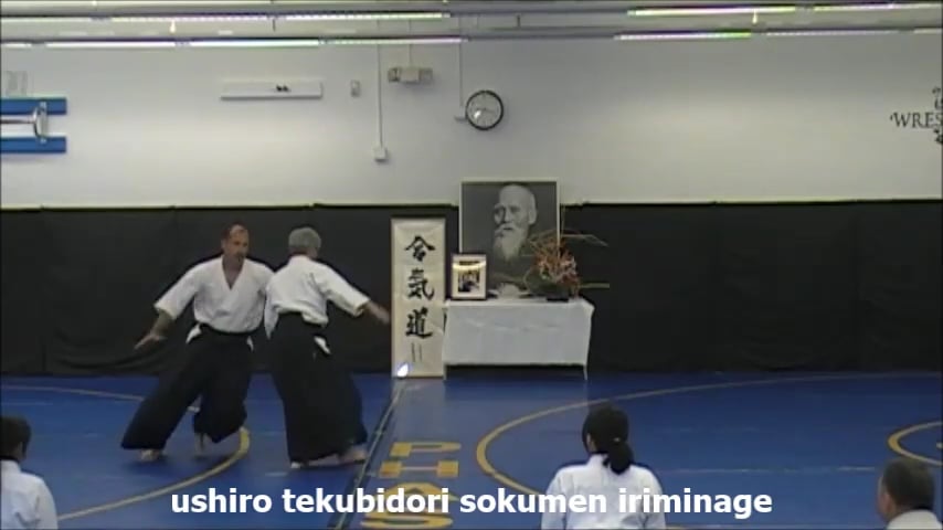 ushiro tekubidori sokumen iriminage