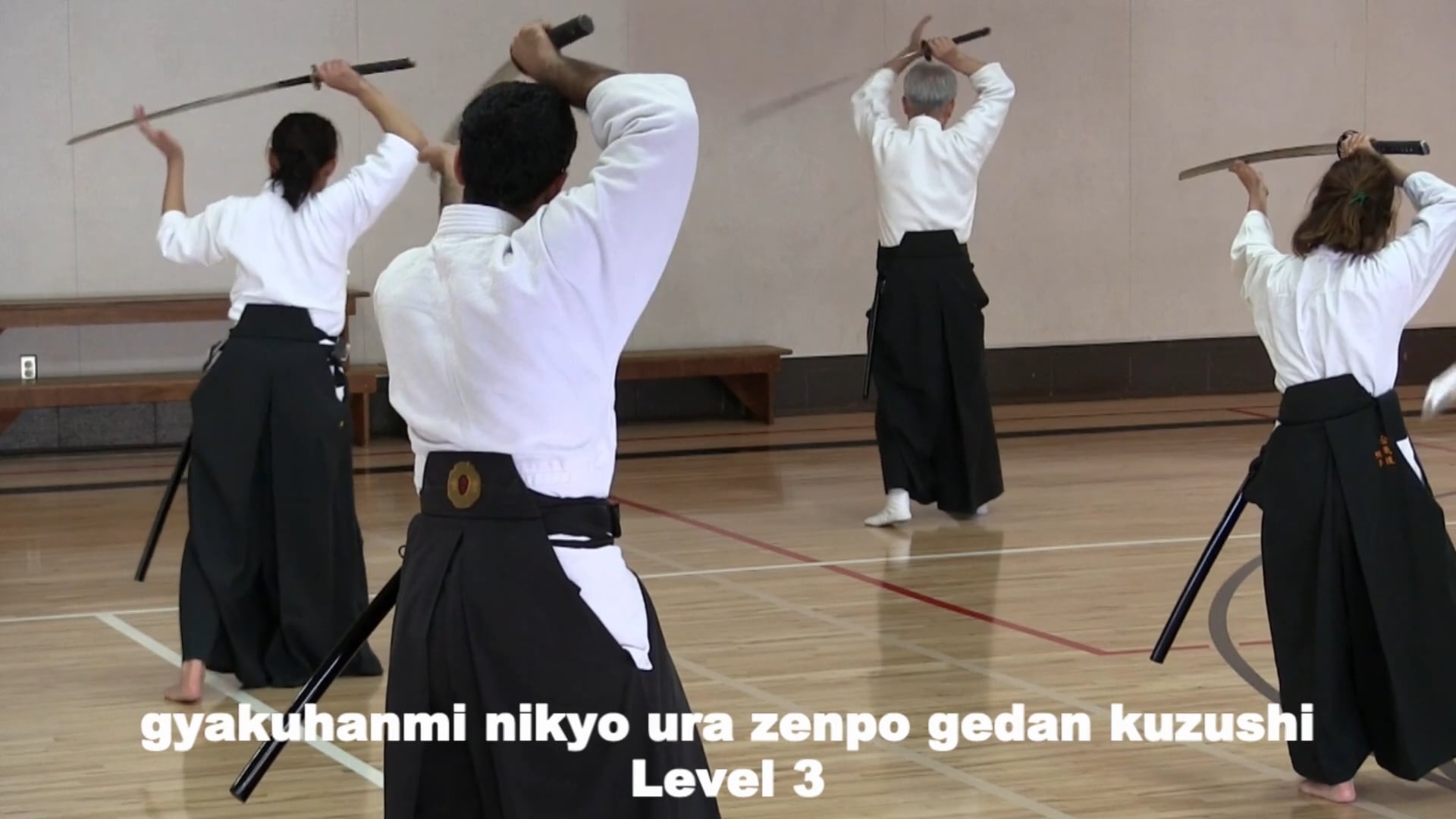 GH nikyo ura zenpo gedan kuzushi toho-L3