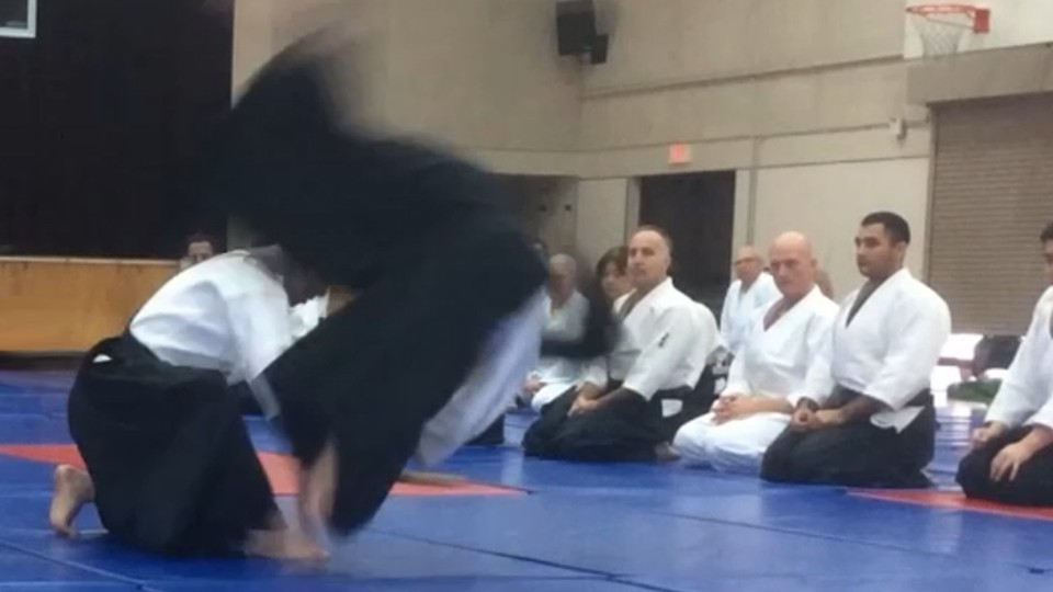 Kotegaeshi 小手返し