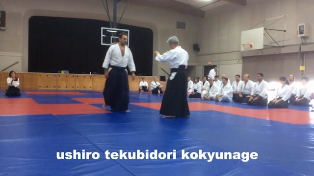 ushiro tekubidori kokyunage