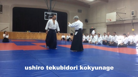 Nishikaze Aikido Society Video