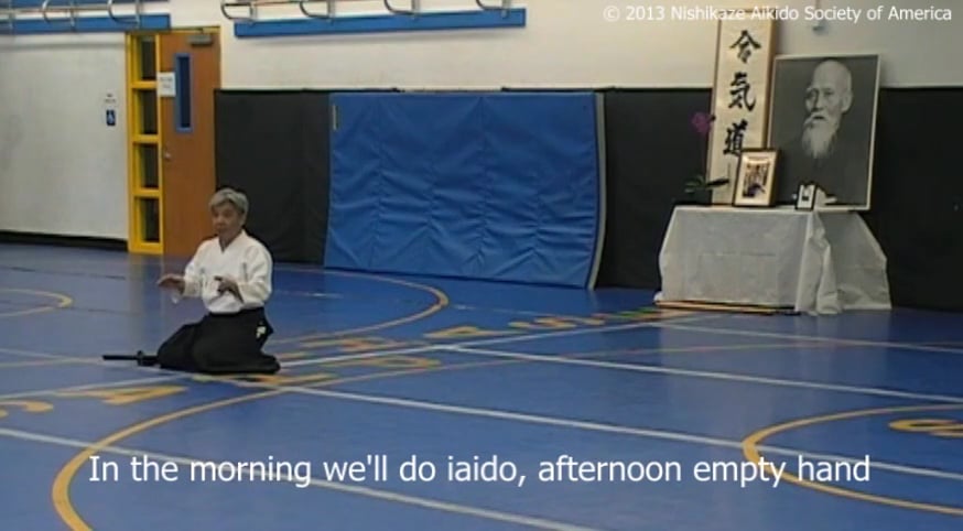 Yoshida 2013 Iaido