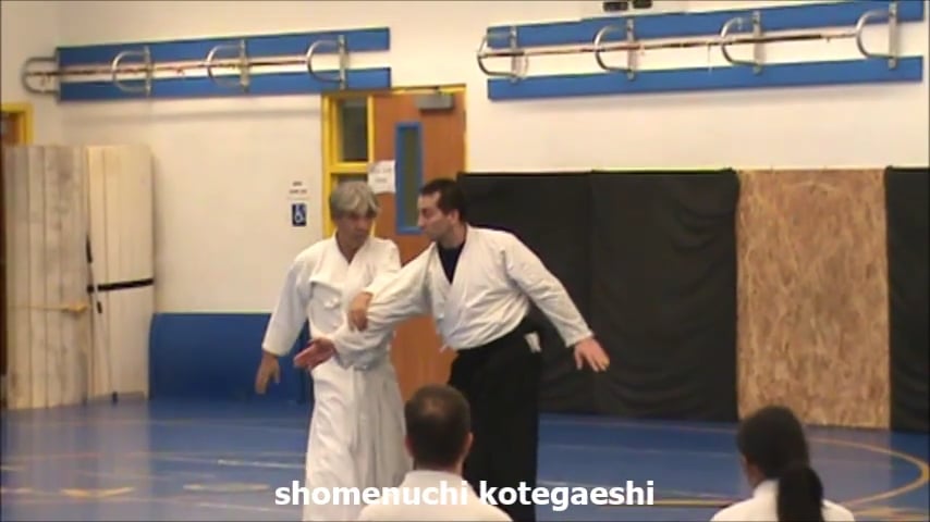 shomenuchi kotegaeshi