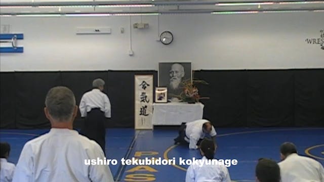 ushiro tekubidori kokyunage