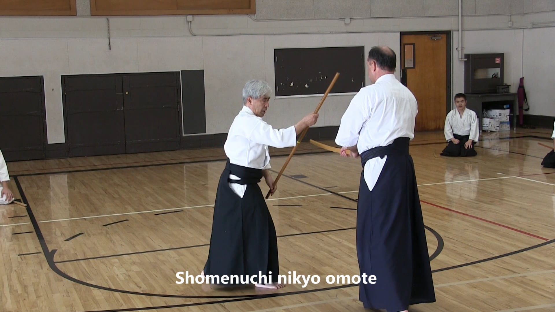 Nishikaze Aikido Society Video