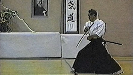 Nishikaze Aikido Society Video