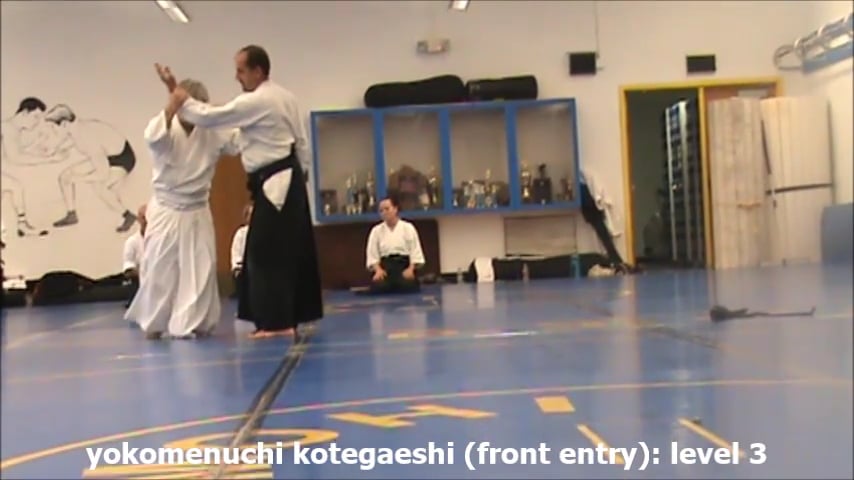 yokomenuchi kotegaeshi L3 (front entry)