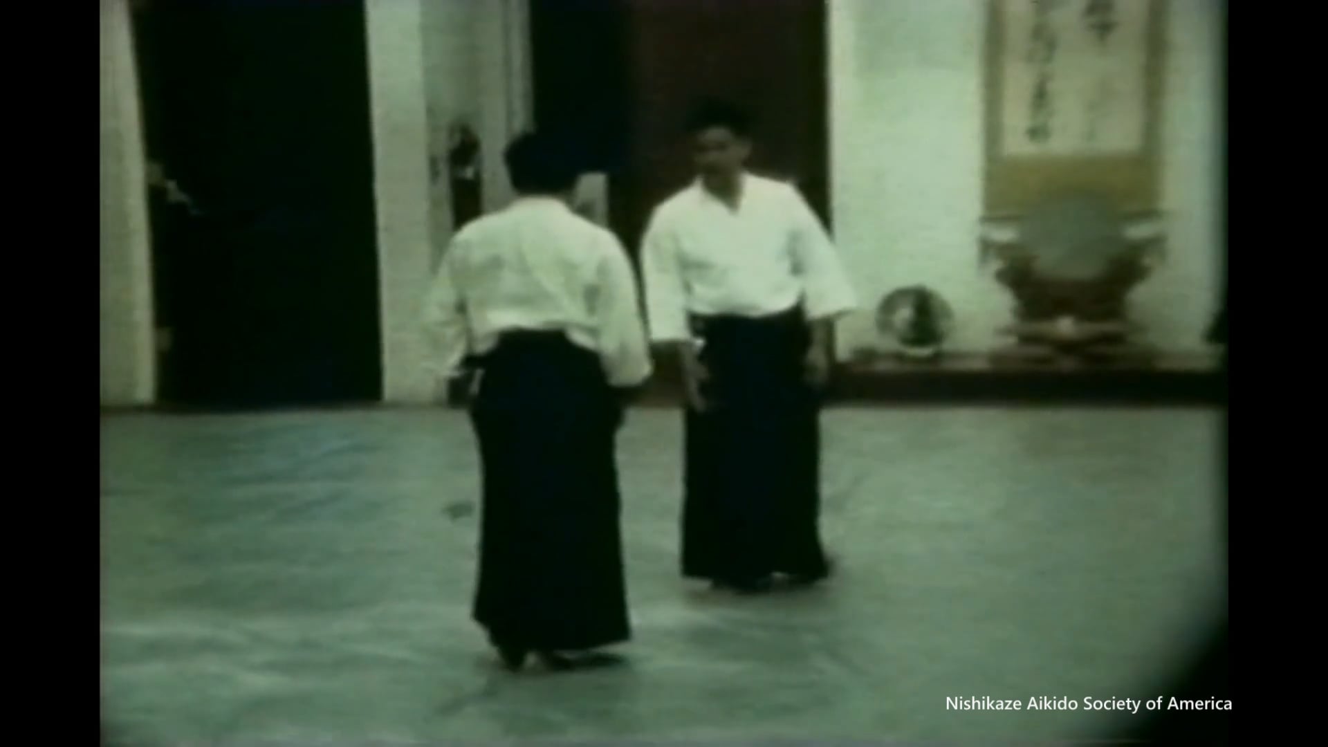 Nishikaze Aikido Society Video