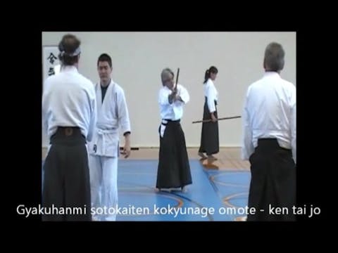 Yoshida 2011 Aikido 2