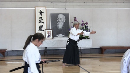 Nishikaze Aikido Society Video