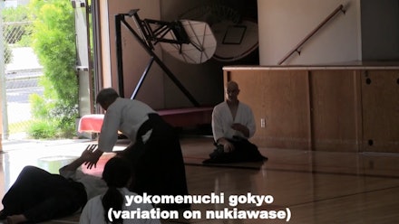 Nishikaze Aikido Society Video