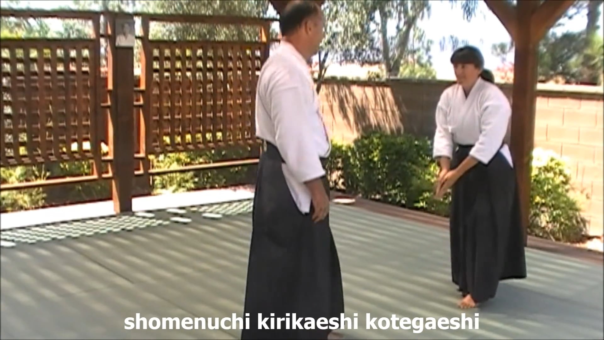 shomenuchi kotegaeshi