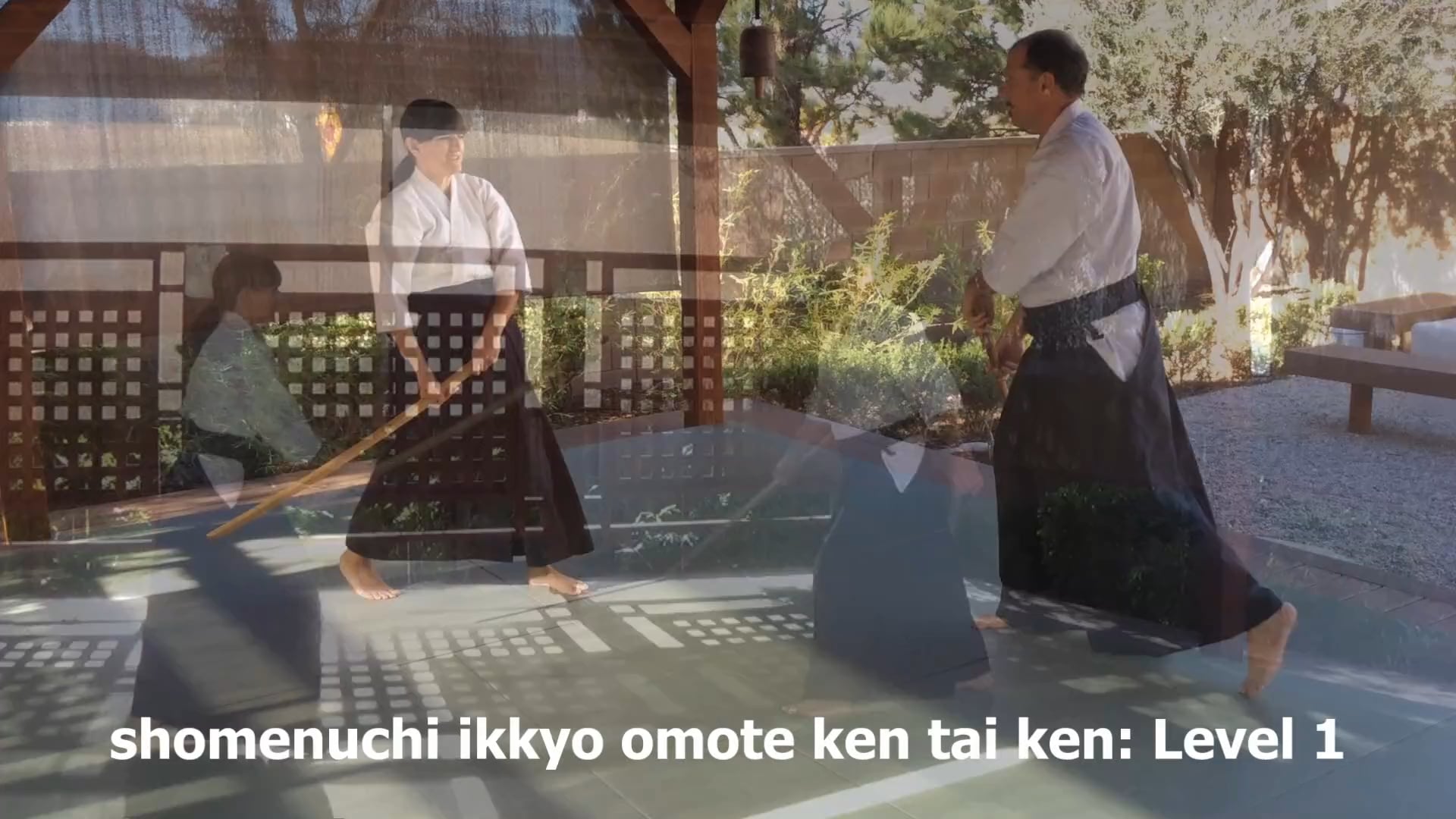 shomenuchi ikkyo omote KK-L1