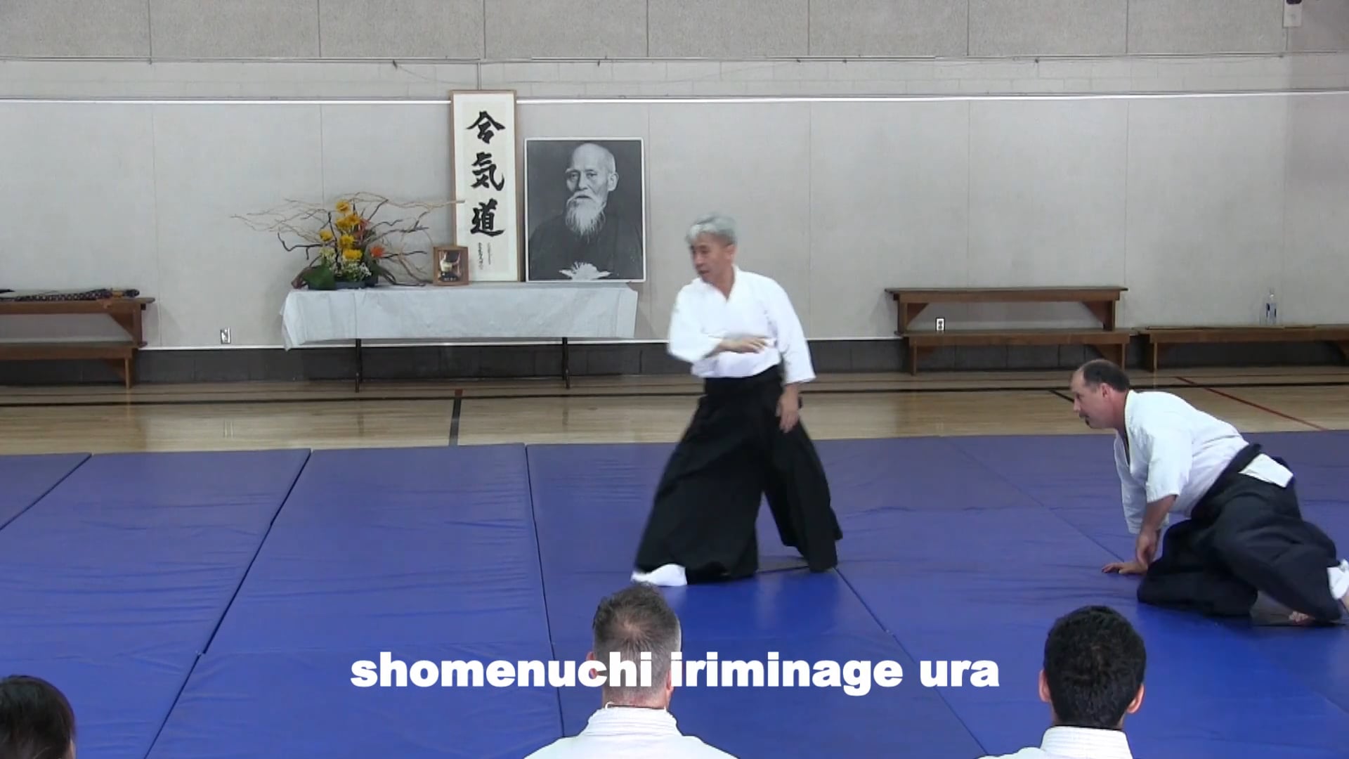 shomenuchi iriminage ura