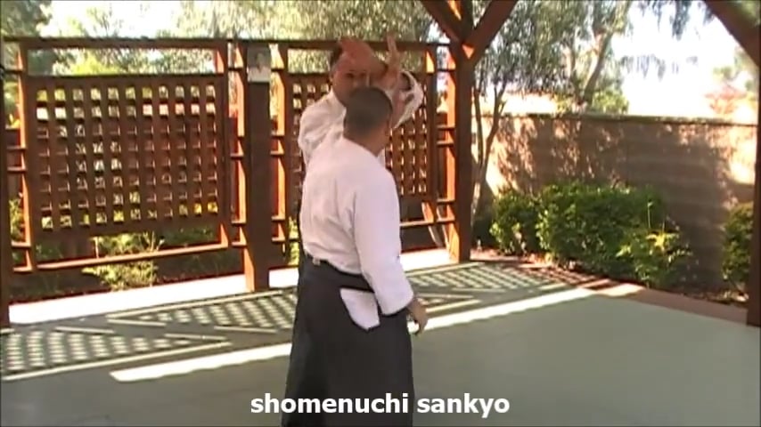 shomenuchi sankyo