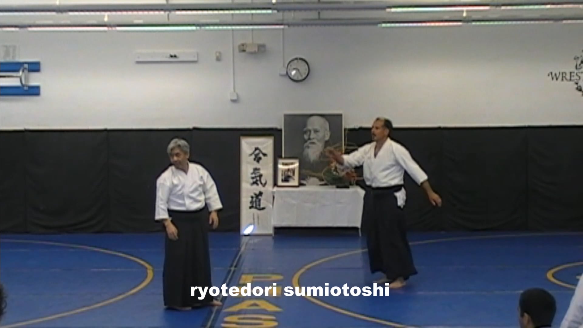 ryotedori sumiotoshi