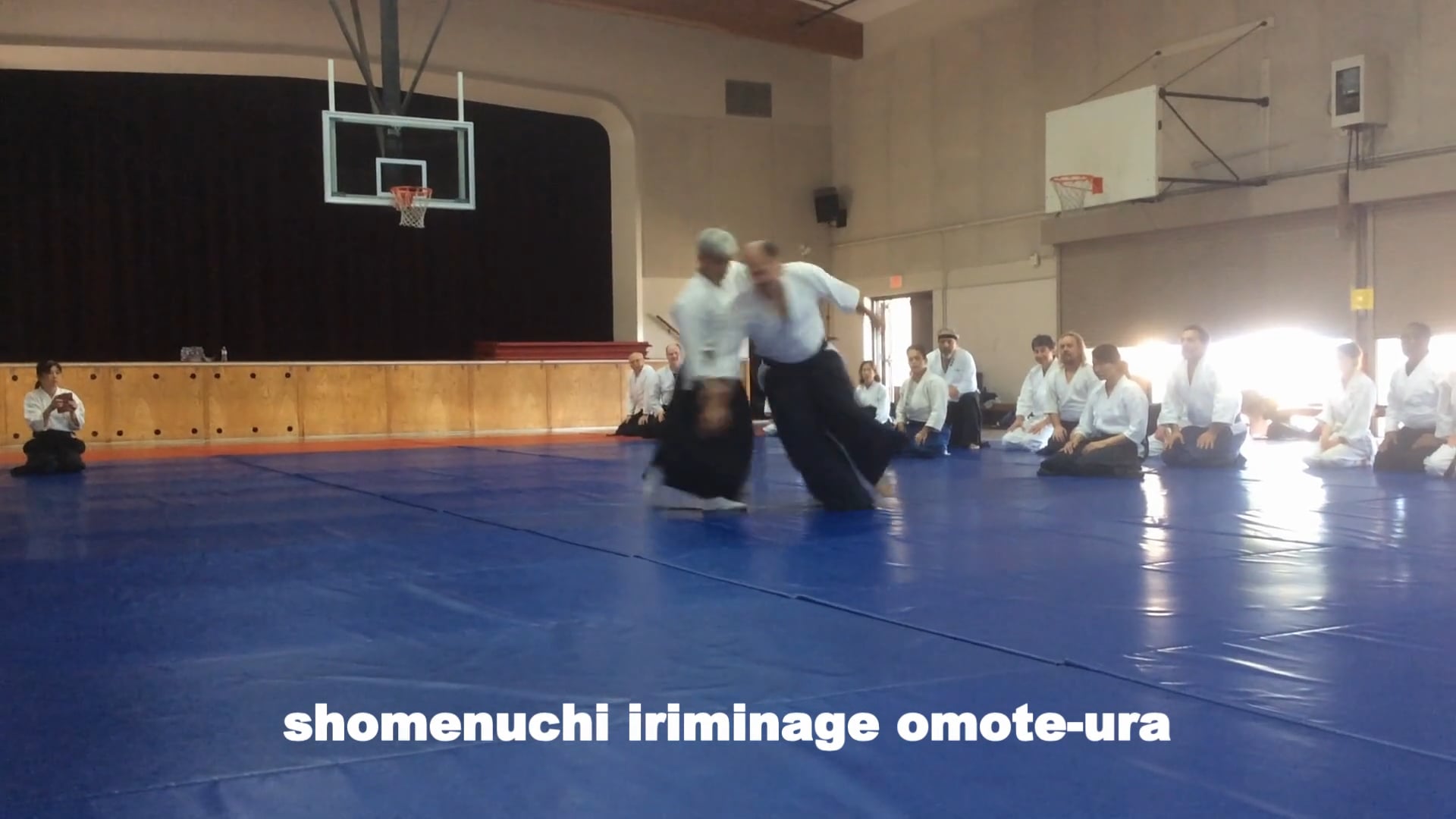 shomenuchi iriminage omote-ura