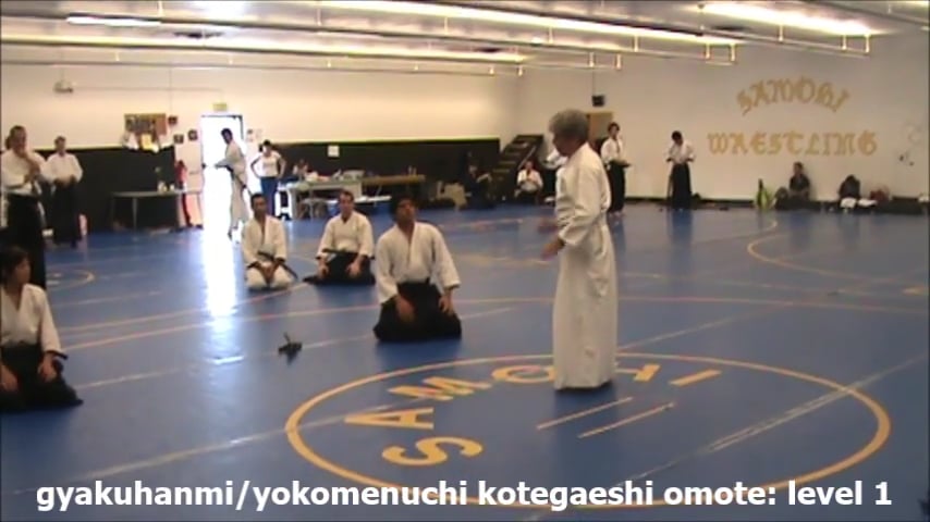 GH yokomenuchi kotegaeshi toho-L1