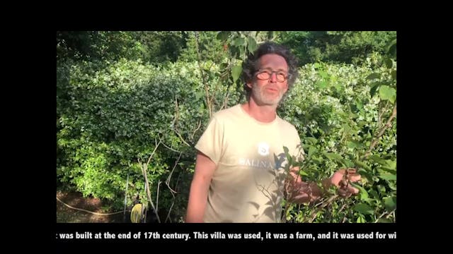 Meet Adriano and Yumi