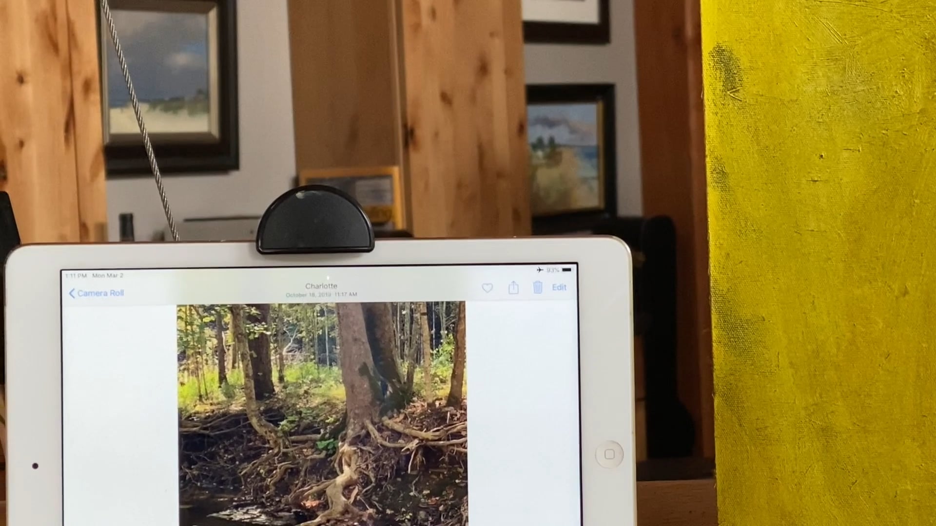 Staining Your Canvas for Impact