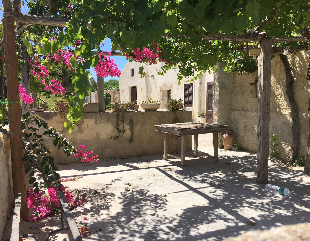 Session 2 Pergola.jpeg