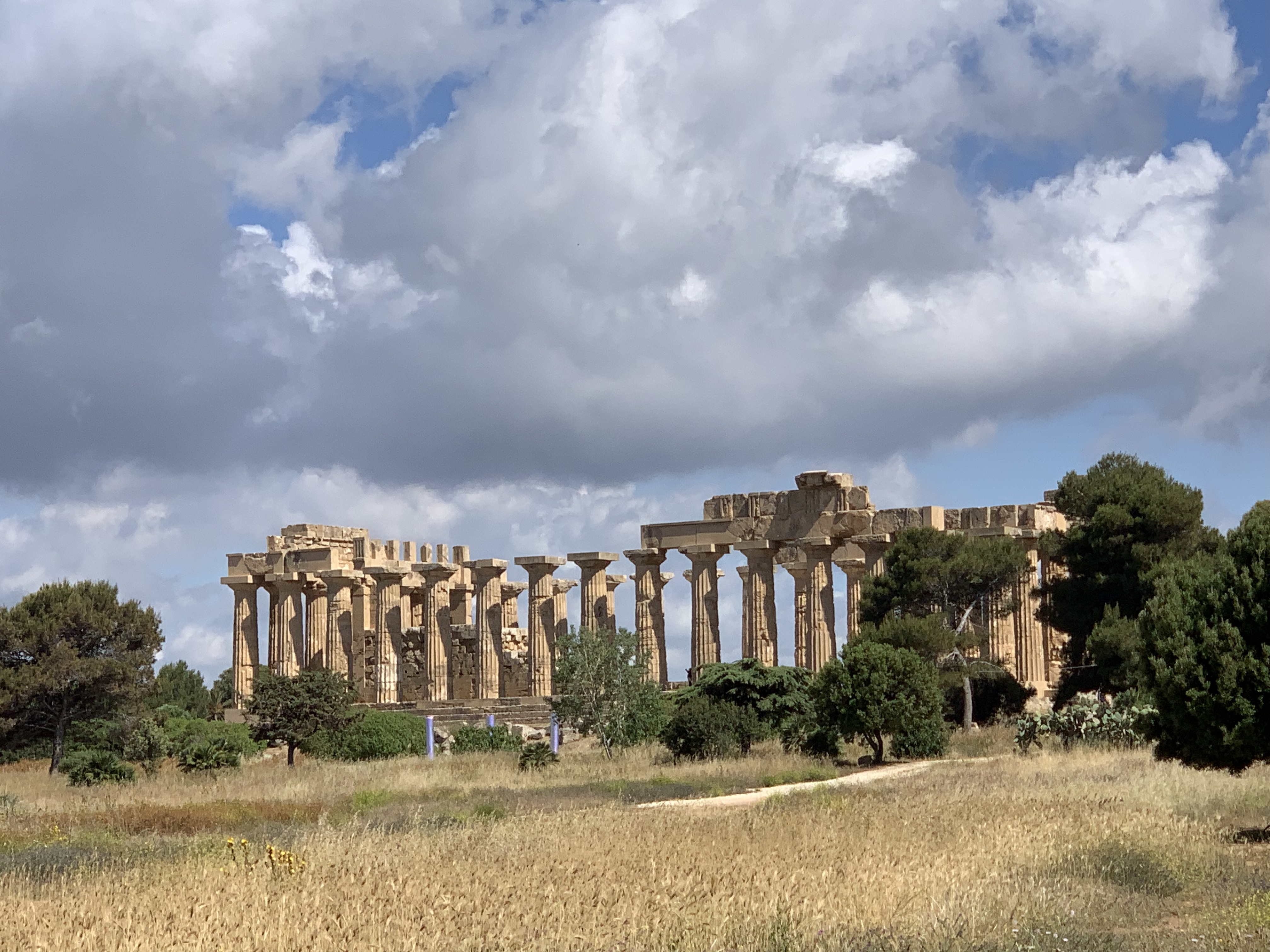 Selinunte.jpeg