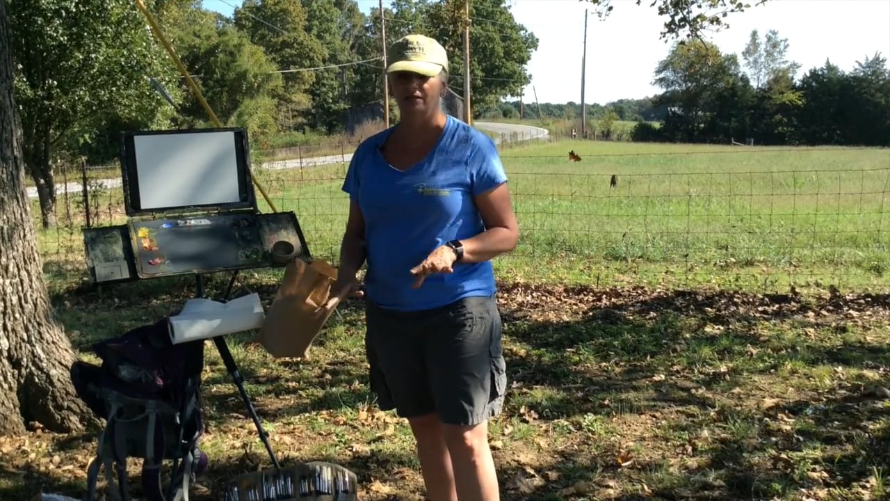 Demonstration: Plein air Light and Shadow Painting