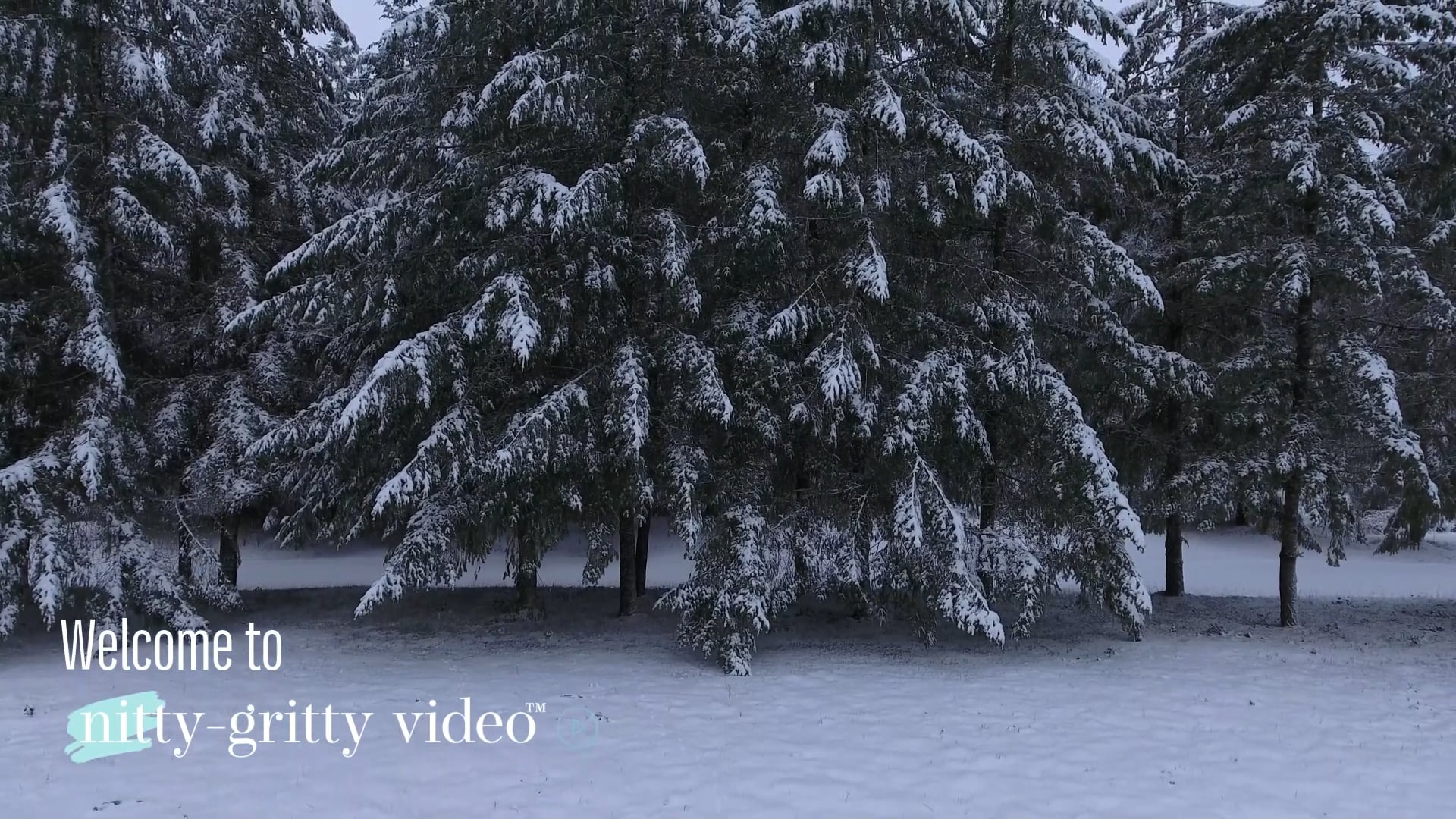 Nitty-Gritty Video™ Video