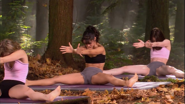 Triangle with Kate | Spinal Health Yoga Class (24 Mins)