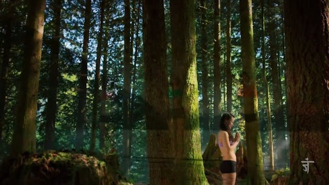 Heart Flow with Erica |  Power Yoga C...