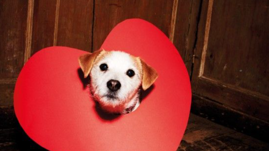 Valentines Day Moves