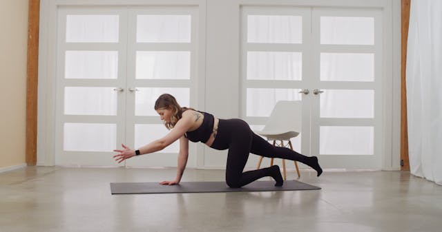 NEW | Modifying Core Movements During...