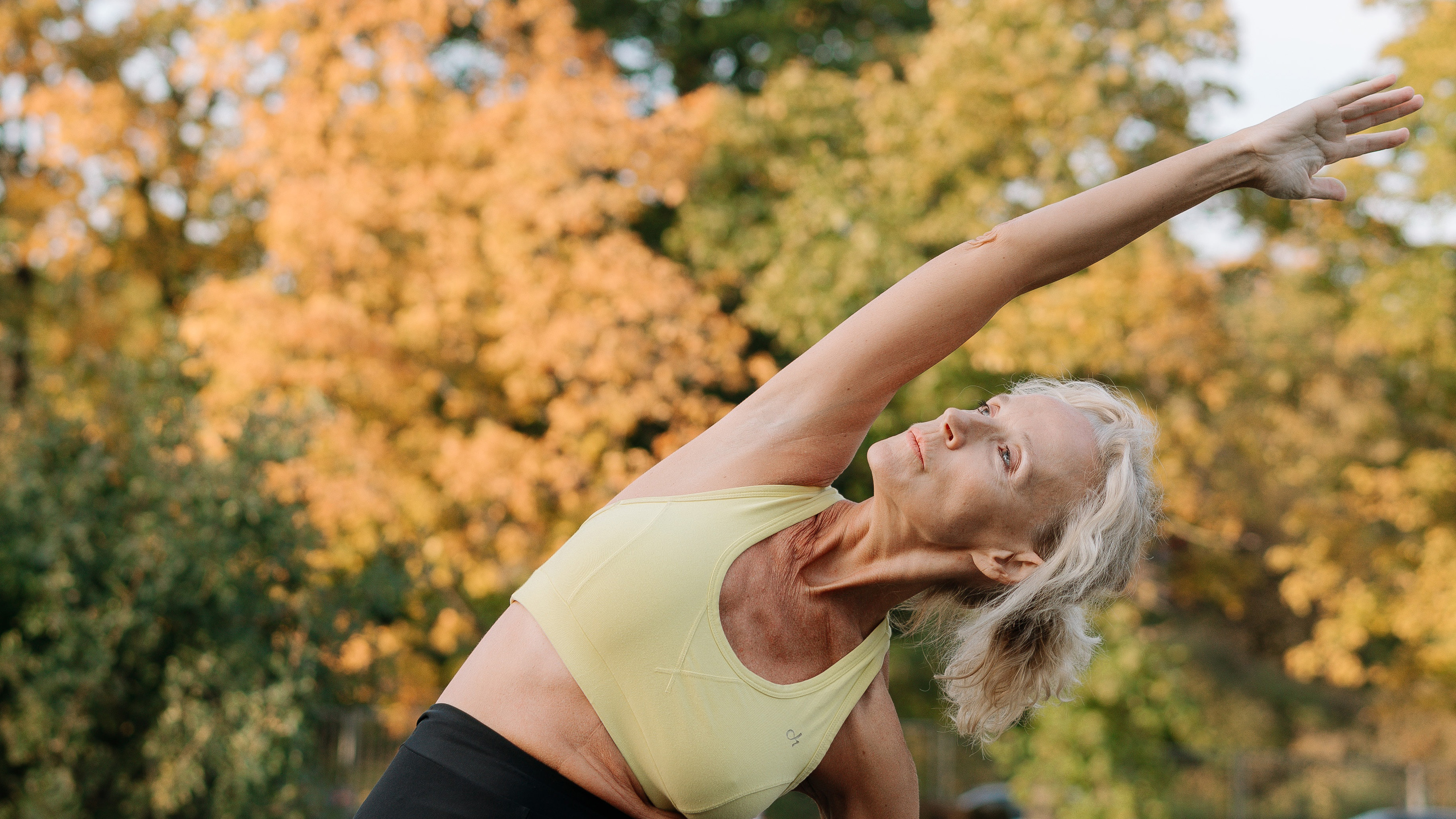 Try a Class Before You Subscribe