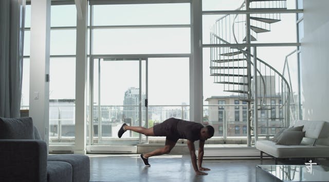 Learn Spider Crawl Shuffle with Dom (...